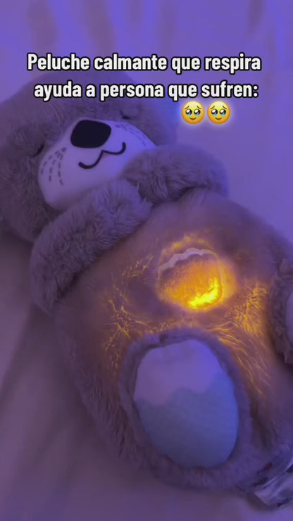 LINDO PELUCHE NUTRIA ANTIANSIEDAD ☺️